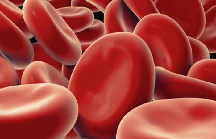 أعراض وأسباب مرض فقر الدم