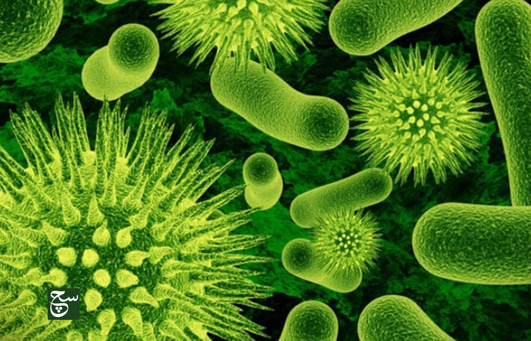 الاتحاد الأوروبي يحذر من البكتيريا شديدة المقاومة