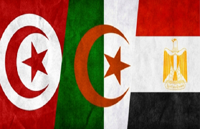 اتفاق تونسي جزائري مصري على الحل السياسي في ليبيا ورفض التدخل العسكري