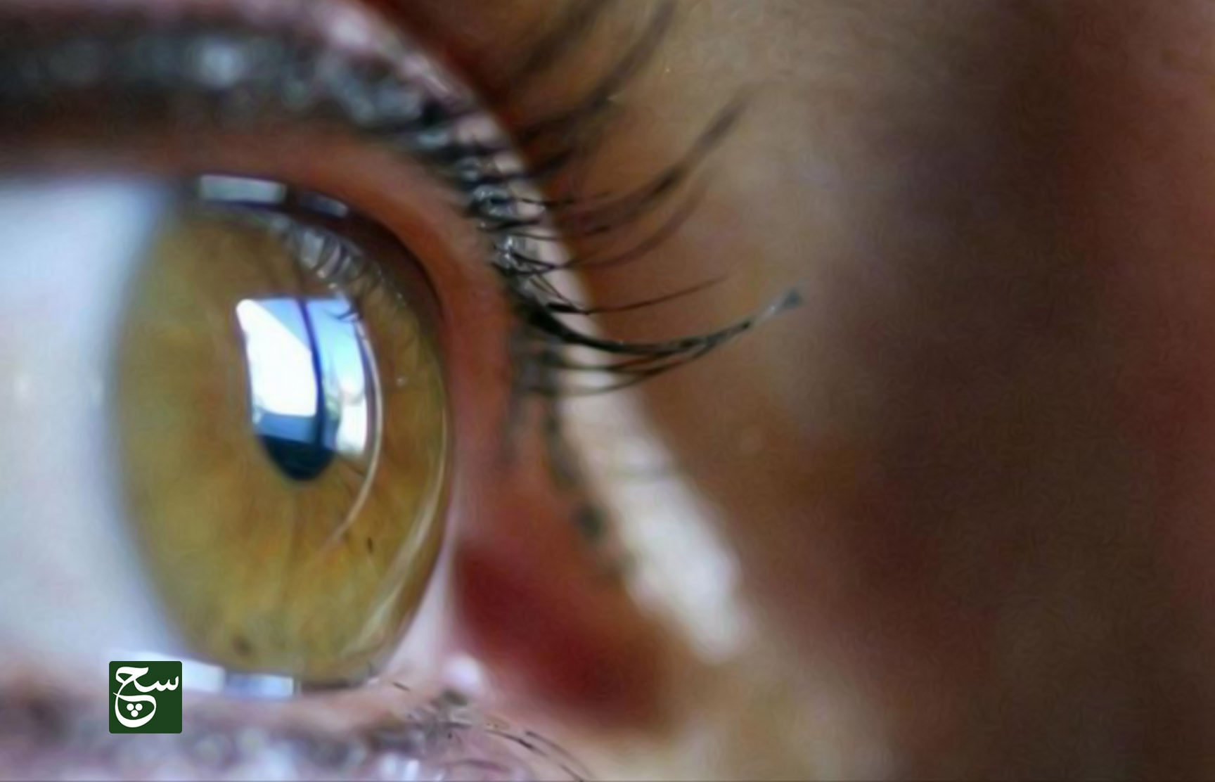 علماء إيطاليون يطورون شبكية اصطناعية للعين