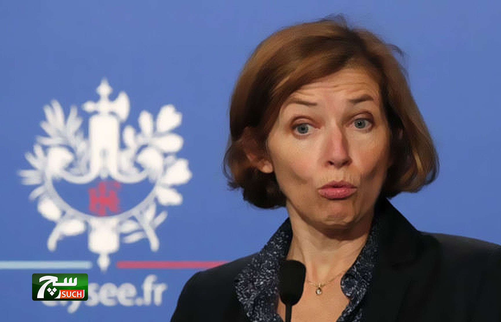وزيرة دفاع فرنسا: لن نغادر سوريا والعراق بعد هزيمة 