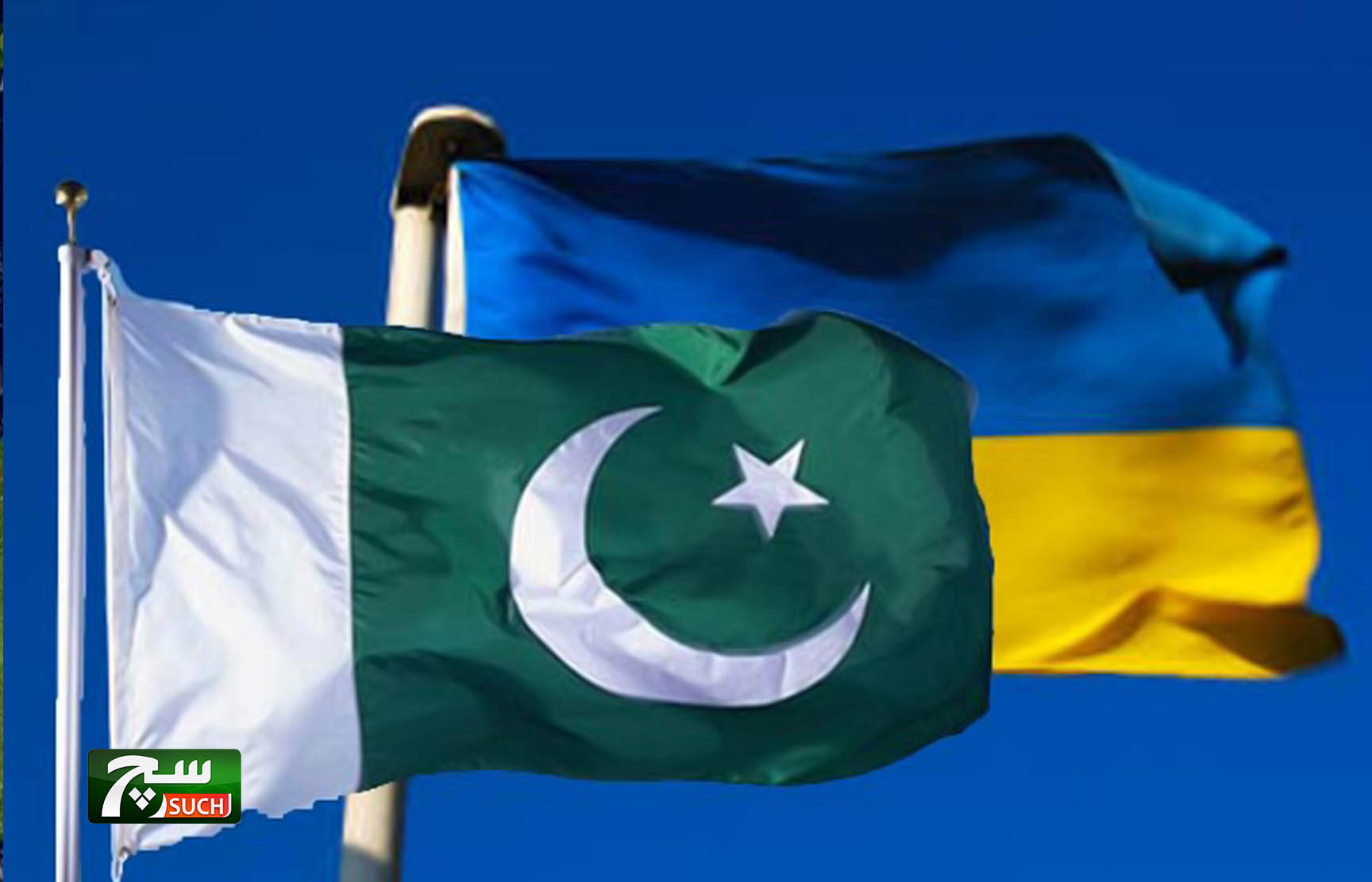 باكستان وأوكرانيا تتفقان على تعزيز التعاون الثنائي في مجال التصنيع الحربي