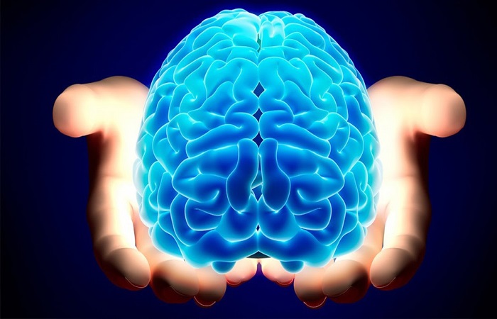 المخ “ينتج” خلايا الذاكرة خلال العقد الثامن من العمر