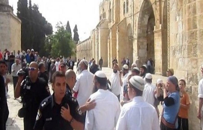 آلاف المستوطنين يقتحمون الإبراهيمي وقبر يوسف