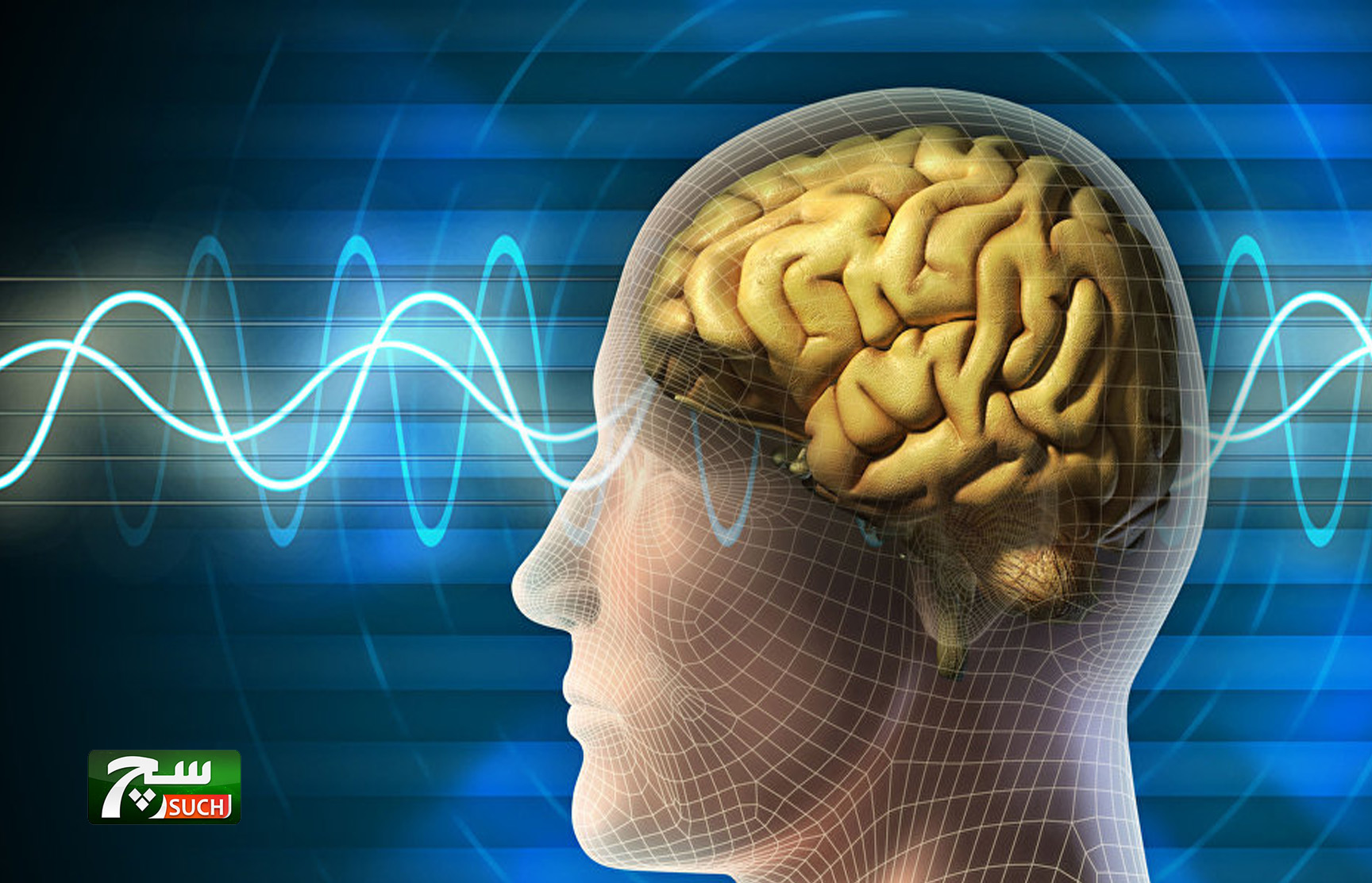 بحث علمي: الذكاء الصناعي يحول نشاط الدماغ إلى كلام