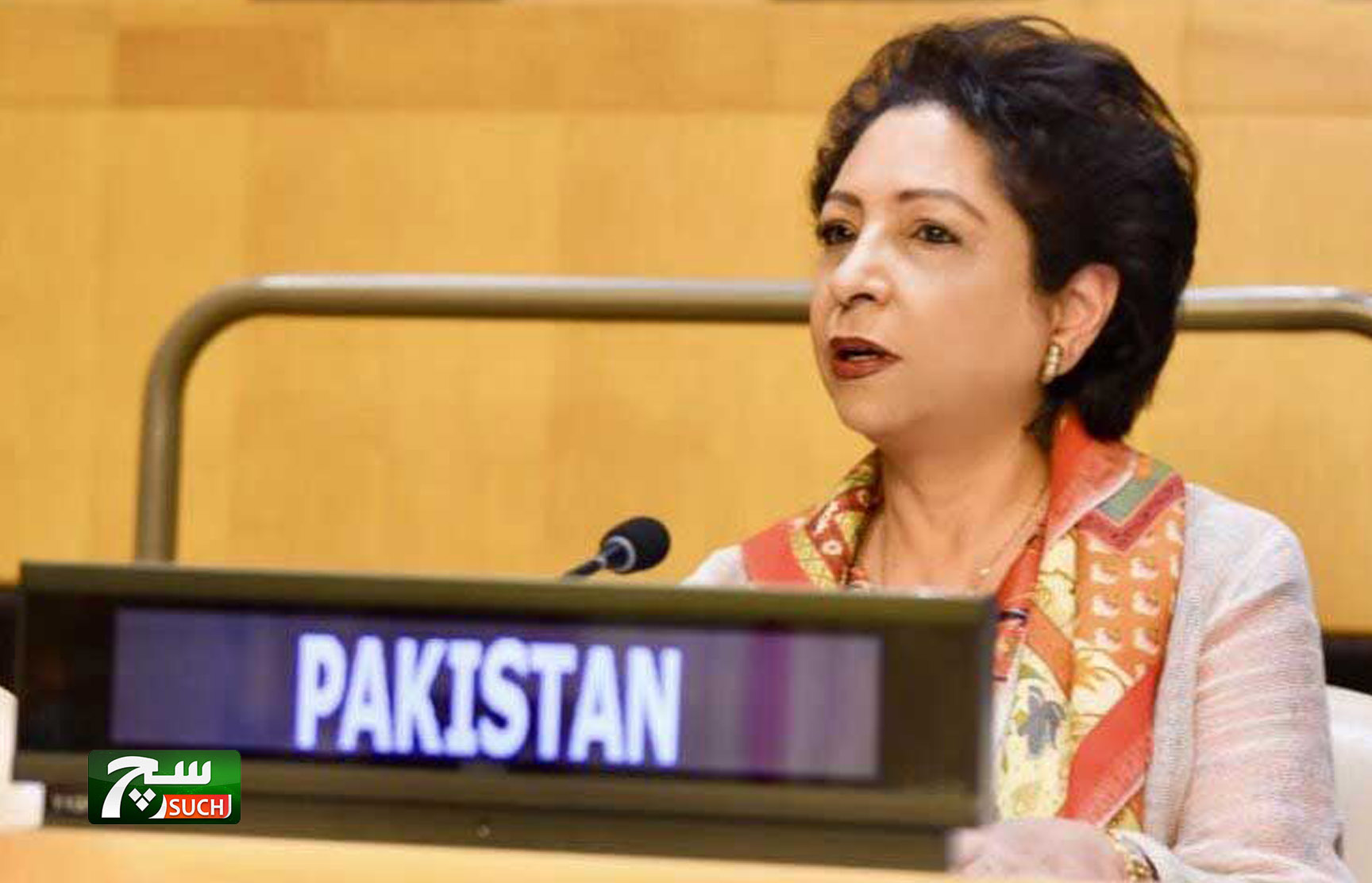 باكستان تدعو إلى تحرك الأمم المتحدة ضد الإسلاموفوبيا ، خطاب الكراهية