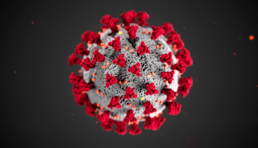 دراسة جديدة تثبت أن فيروس كورونا موجود منذ ۲۵ ألف عام