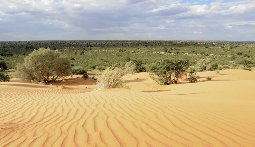 إكتشاف كنز طبيعي بقلب الصحراء الأفريقية