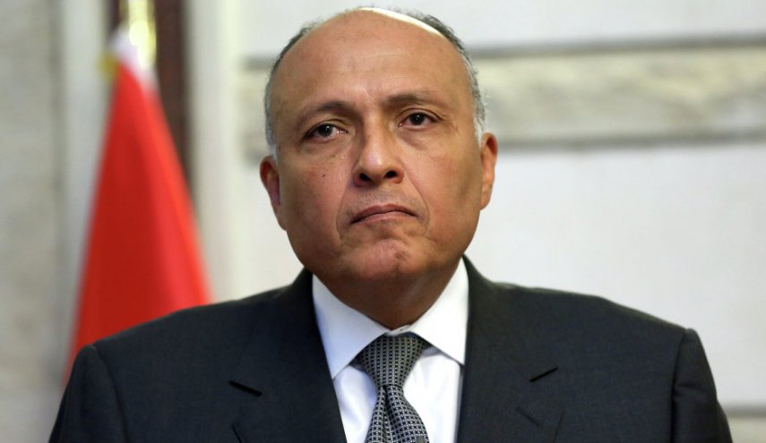 وزير الخارجية المصري يبحث ونظيره الإريتري المعارك في تيغراي