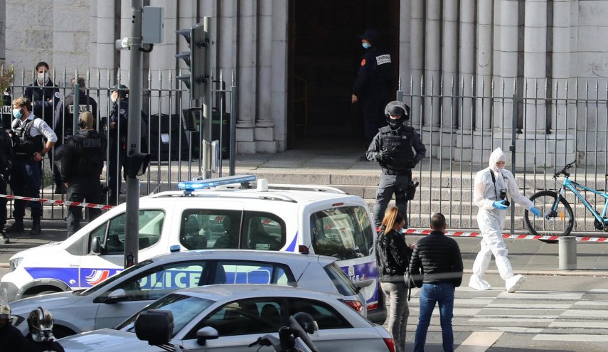 نائبة بالبرلمان الاوروبي: الهجمات في فرنسا يتم تنسيقها من الاليزية