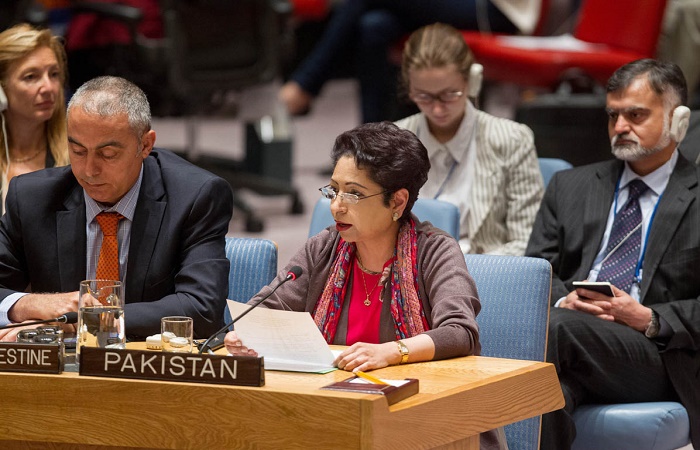باكستان تطالب بضرورة تكثيف الجهود لتحقيق هدف الأمم المتحدة من الطاقة للجميع