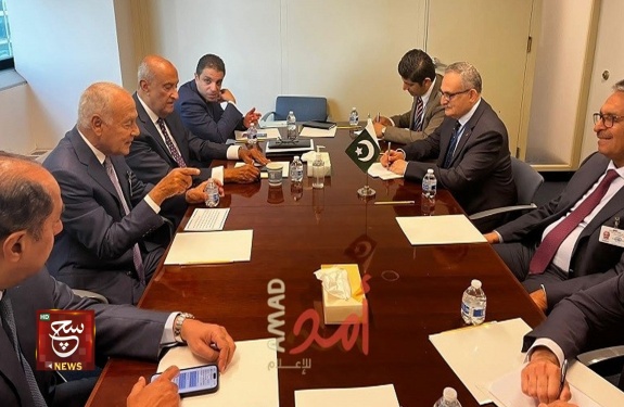 أبو الغيط يلتقي وزير خارجية باكستان ورئيس مجلس القيادة الرئاسي اليمني